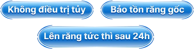 Text-Banner-Su-052024-3